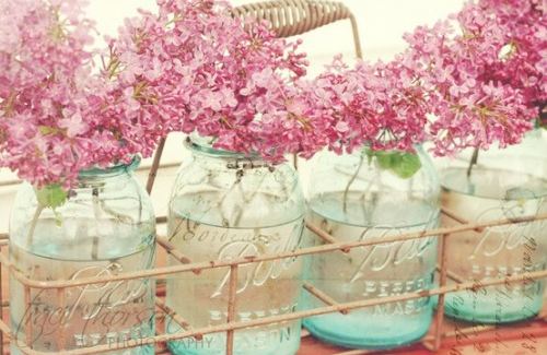 pink spring flowers- pinterest